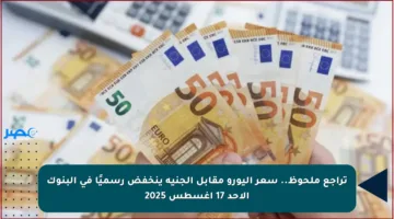 تراجع ملحوظ.. سعر اليورو مقابل الجنيه ينخفض رسميًا في البنوك الأحد 17 أغسطس 2025